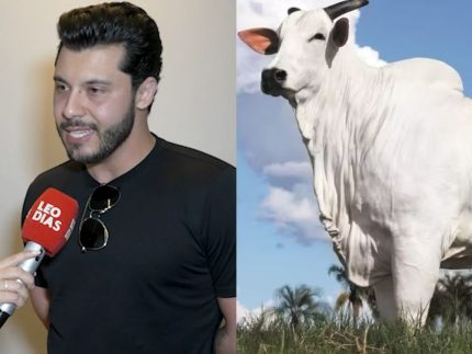 murilo-huff-explica-por-que-investiu-em-vaca-milionaria-e-surpreende-o-publico