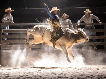 felipe-simas mostra a-trajetoria-do-locutor-asa-branca-no-cinema  