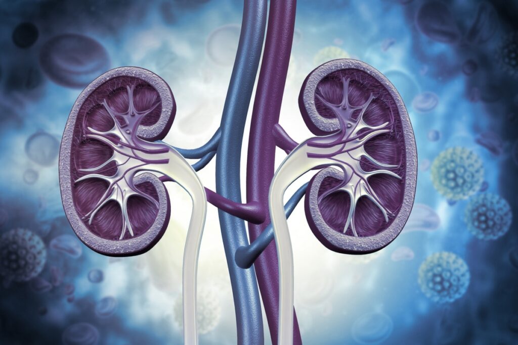 tecnica-moderna-de-dialise-reduz-mortalidade-em-68%-no-sus