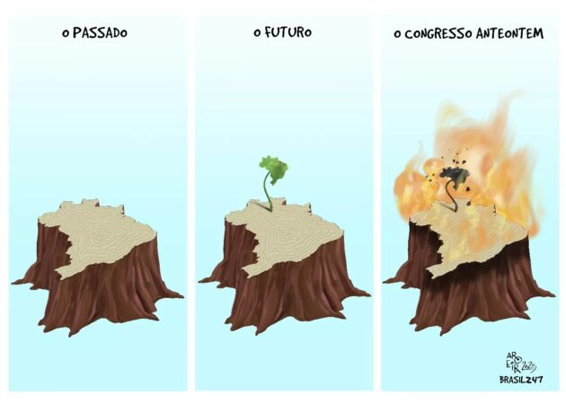 charge-do-aroeira