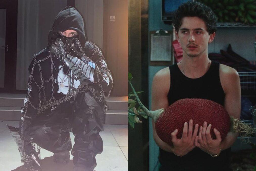 Teoria com Timothée Chalamet dispara buscas por rapper mascarado