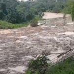 Captura de tela 2025-11-12 145343