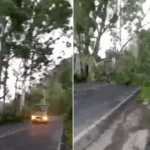 Captura de tela 2025-11-20 094829