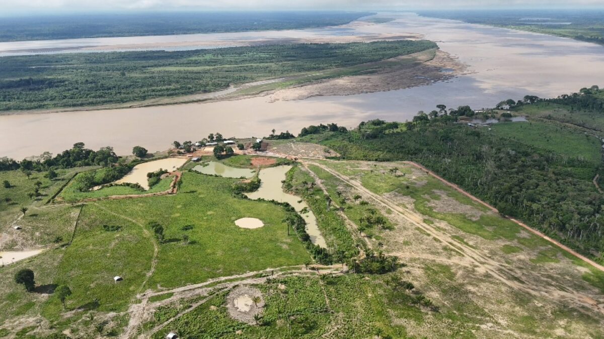 Posseiro é multado em mais de R$ 24 milhões por maior caso de desmatamento do ano no Amazonas