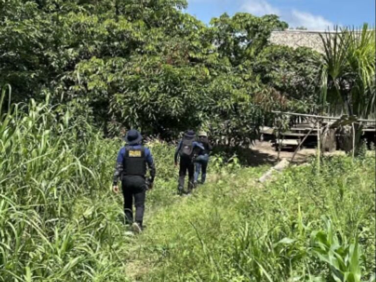 Foto: Polícia Civil de Feijó