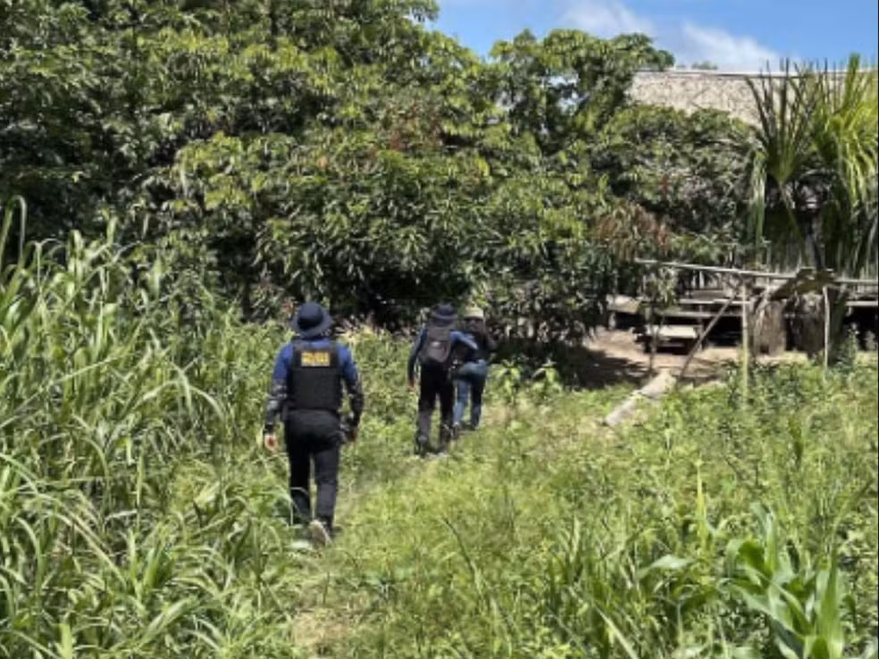  Foto: Polícia Civil de Feijó