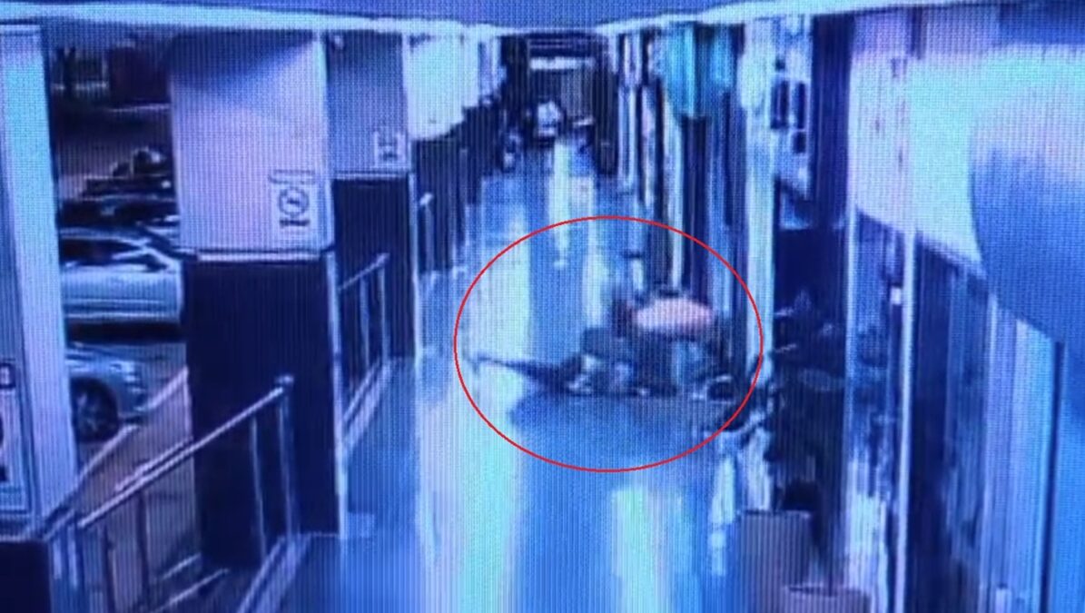 Filha de flamenguista espancado deu mata-leão em palmeirense para ajudar pai