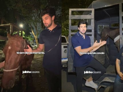 cavalo-e-resgatado-em-estado-critico-apos-denuncia-de-moradores-na-zona-leste-de-sp