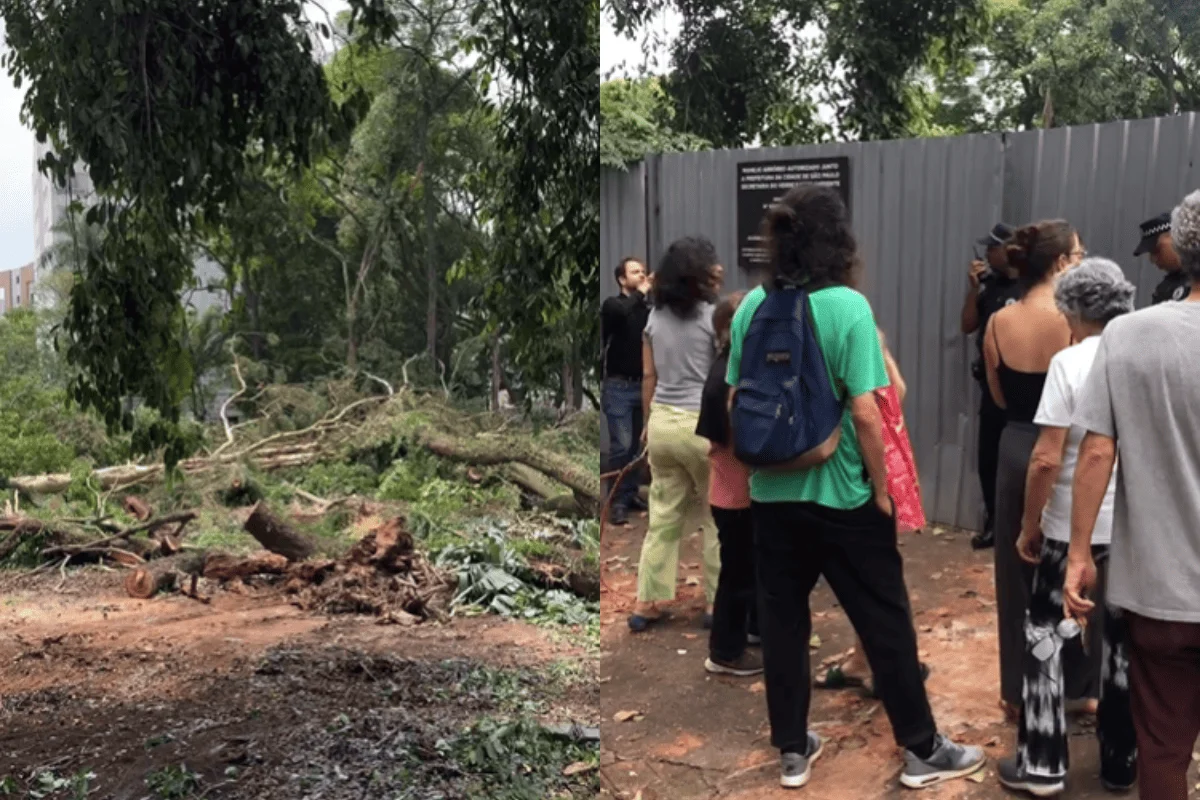 justica-proibe-derrubada-de-bosque-em-sp,-mas-nao-salva-nenhuma-arvore