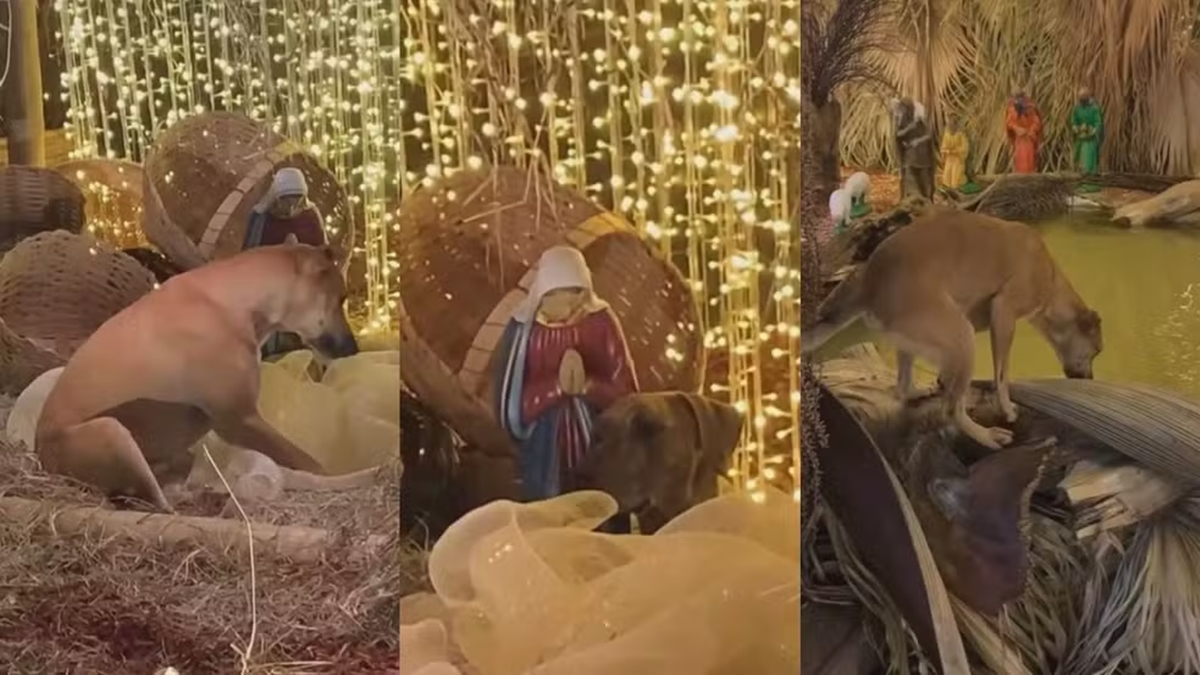 caramelos-encenam-“presepio-vivo”-e-conquistam-as-redes-sociais