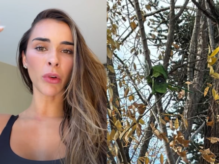 galho-espiao?-taina-militao-aciona-policia-apos-identificar-camera-disfarcada-em-arvore