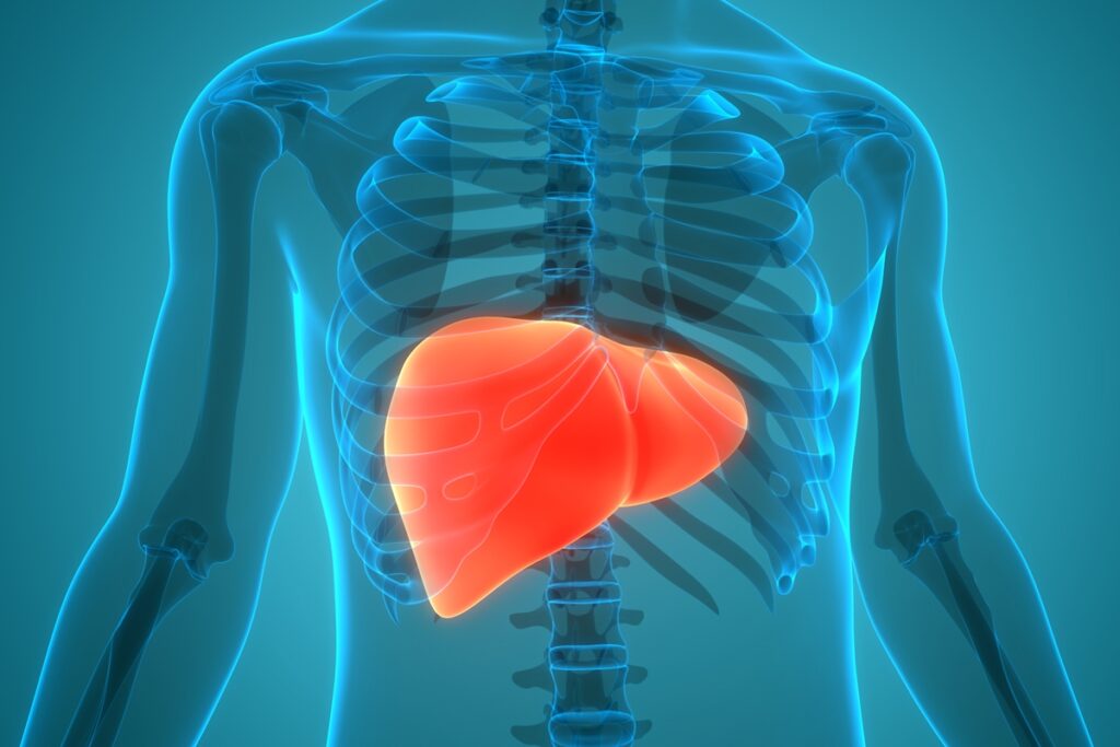 hepatologistas-explicam-como-proteger-o-figado-apos-exagerar-no-alcool