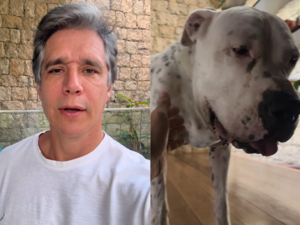 marcio-garcia-atualiza-estado-de-saude-do-cachorro-diagnosticado-com-cancer
