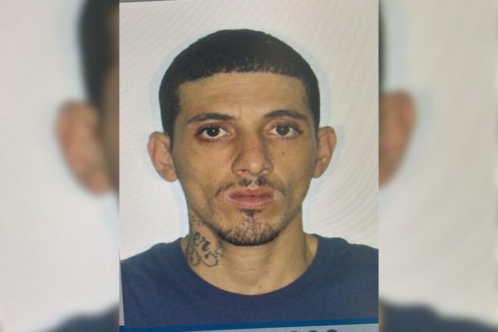 quem-e-o-preso-por-roubar-obras-de-matisse-e-portinari-em-biblioteca