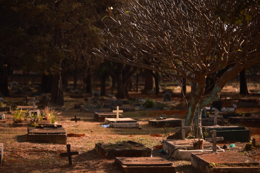 mortes-no-brasil-crescem-4,6%-em-2024,-revela-ibge