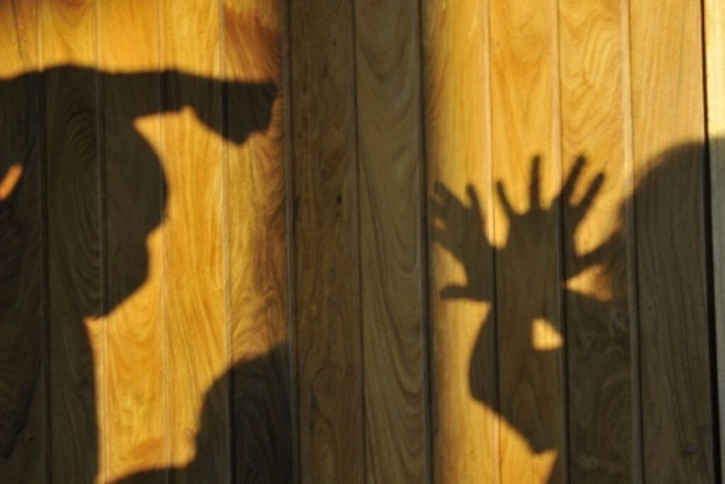 governo-de-sp-so-usa-40%-da-verba-de-combate-a-violencia-contra-mulher