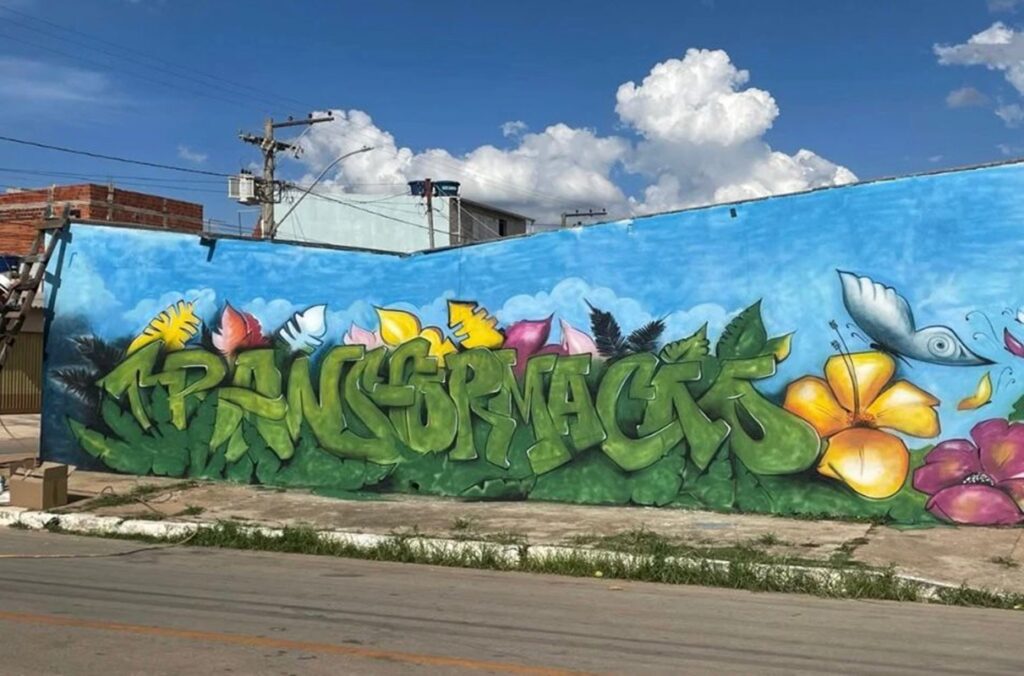 pcdf-e-grafiteiros-se-unem-para-revitalizar-muros-pichados-pelo-pcc