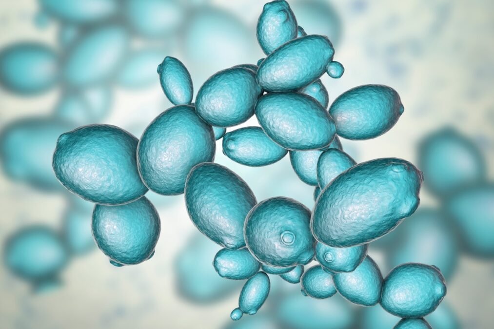 Avanço na genética: cientistas produzem genoma sintético inédito