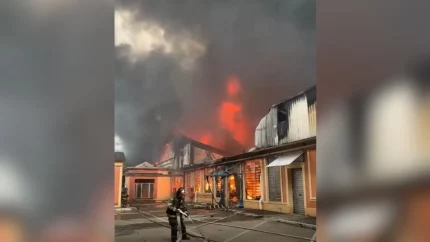 incendio-em-loja-de-flores-causa-destruicao-e-mobiliza-forca-tarefa-dos-bombeiros-em-sp