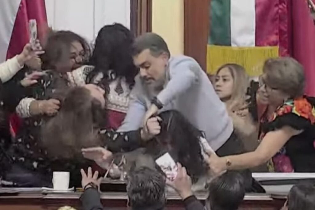 mexico:-com-socos-e-puxoes-de-cabelo,-deputadas-brigam-no-congresso