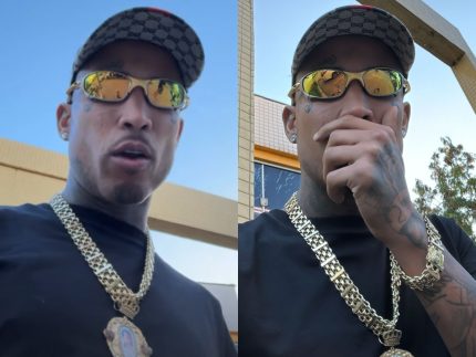 justica-expede-alvara-de-soltura-para-gato-preto-apos-quitacao-de-pensao-alimenticia