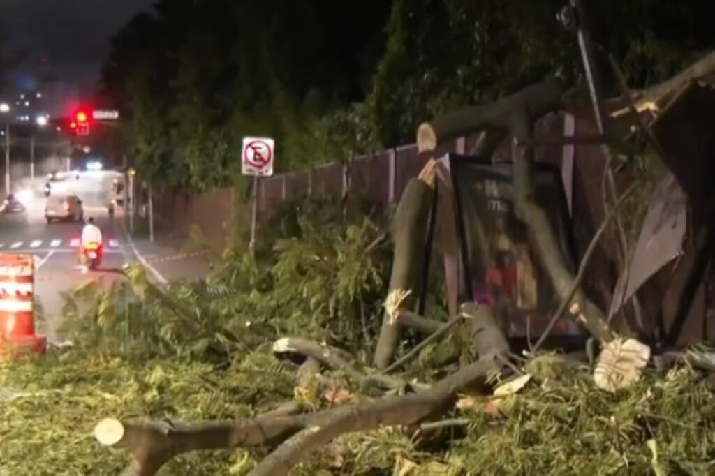 prefeitura-investiga-morte-de-funcionario-que-cortava-arvore-em-sp