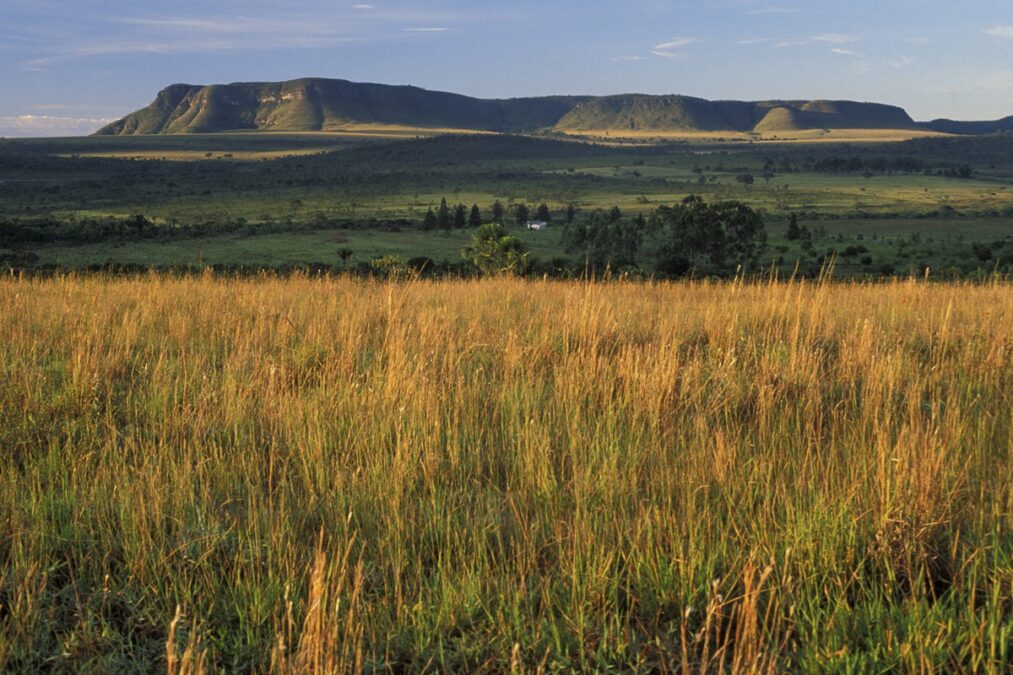 Goiás acusa Tocantins de ocupar área da Chapada dos Veadeiros e aciona STF