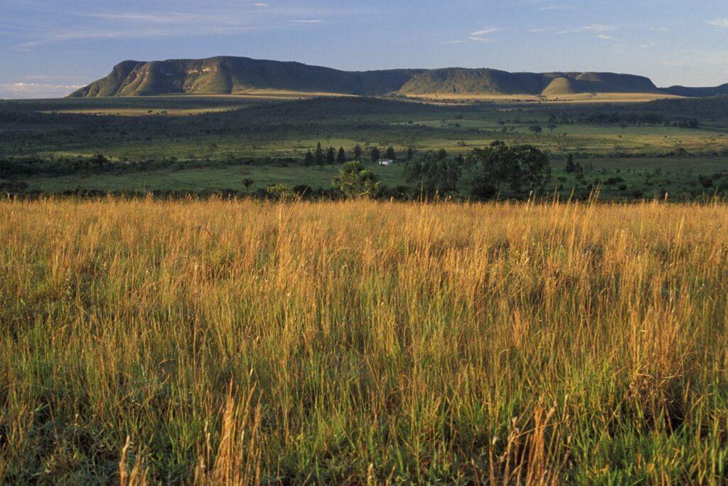 goias-acusa-tocantins-de-ocupar-area-da-chapada-dos-veadeiros-e-aciona-stf