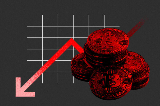 tulipas-e-bitcoins