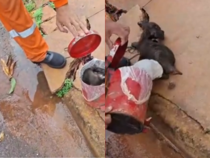garis-salvam-cachorro-momentos-antes-de-ser-triturado-em-lata-de-lixo-no-mt