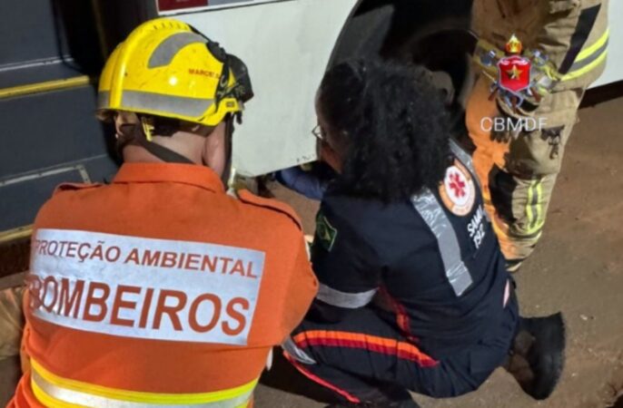 mulher-morre-atropelada-em-garagem-de-empresa-de-onibus