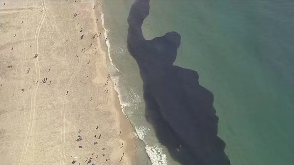 rio:-cardumes-gigantes-surpreendem-banhistas-na-praia-do-leme