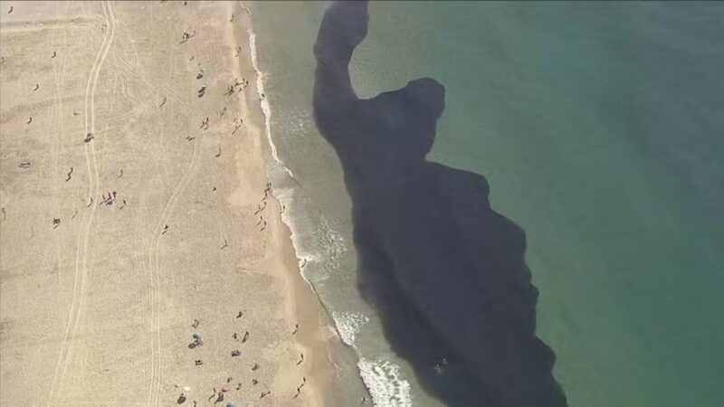 rio:-cardumes-gigantes-surpreendem-banhistas-na-praia-do-leme