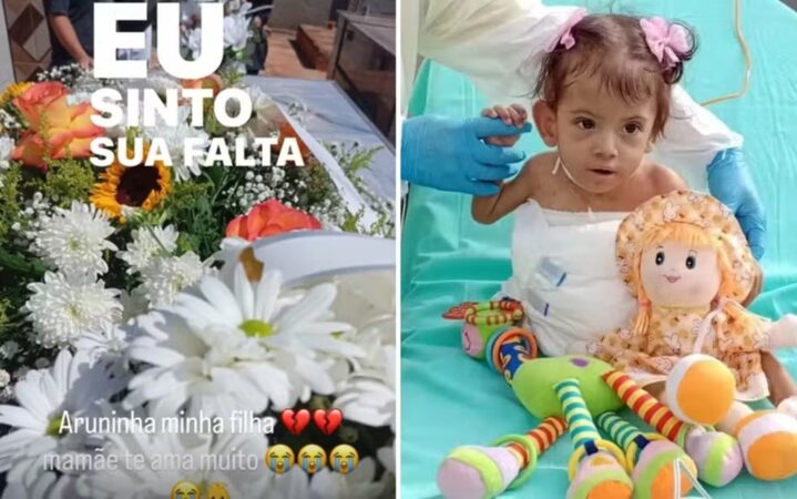 go:-apos-morte-de-segunda-siamesa,-mae-faz-homenagem-emocionada;-veja