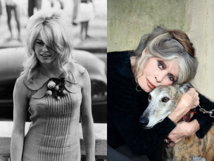 icone-do-cinema-e-ativista,-francesa-brigitte-bardot-morre-aos-91-anos