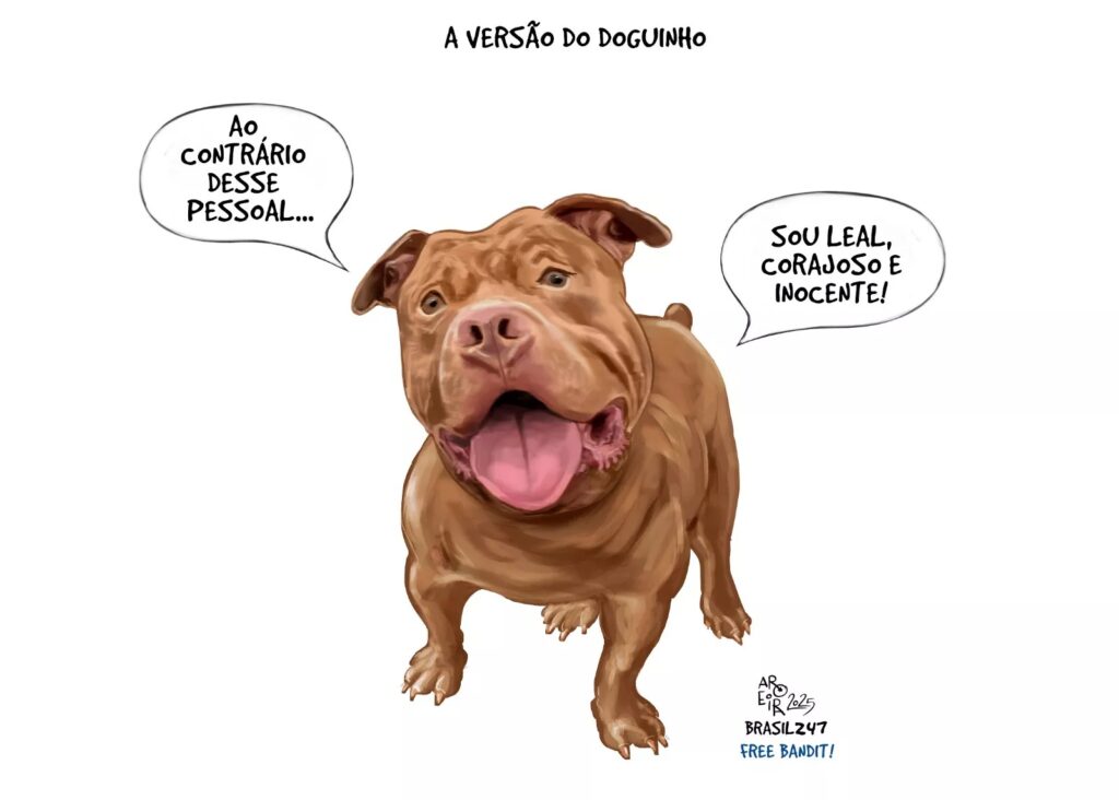 charge-do-aroeira