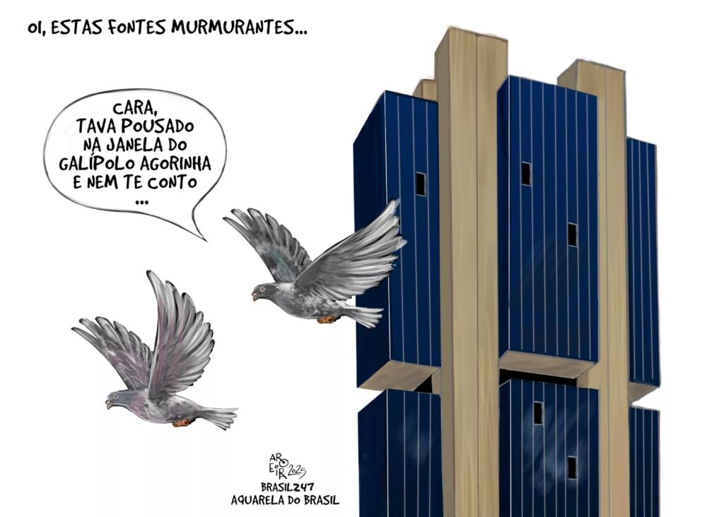charge-do-aroeira