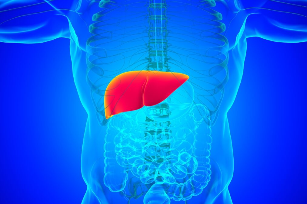 Réveillon: nutricionista dá dicas para não sobrecarregar o fígado