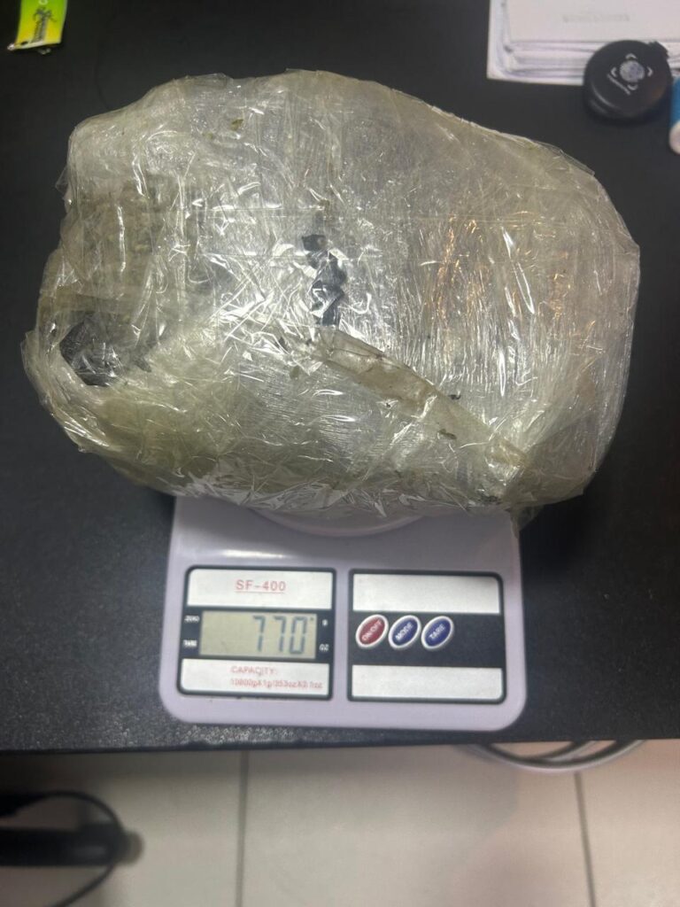 Quase 1 kg de skunk é apreendido. Foto: cedida