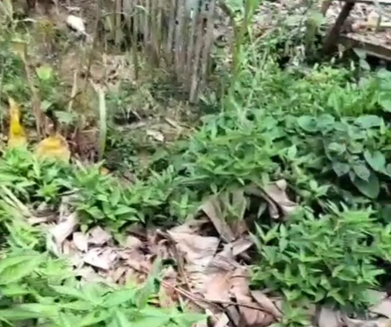 Moradora denuncia risco de desabamento e cobra solução da prefeitura em Manoel Urbano