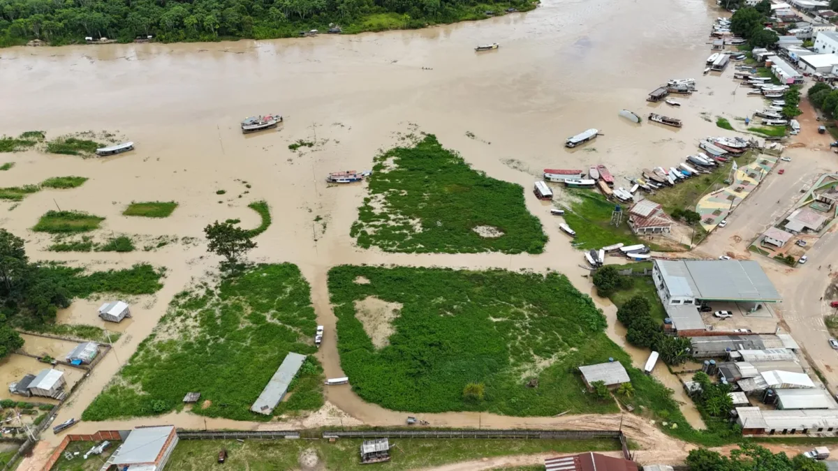 Em Feijó, Rio Envira ultrapassa cota de transbordamento e deixa famílias desalojadas