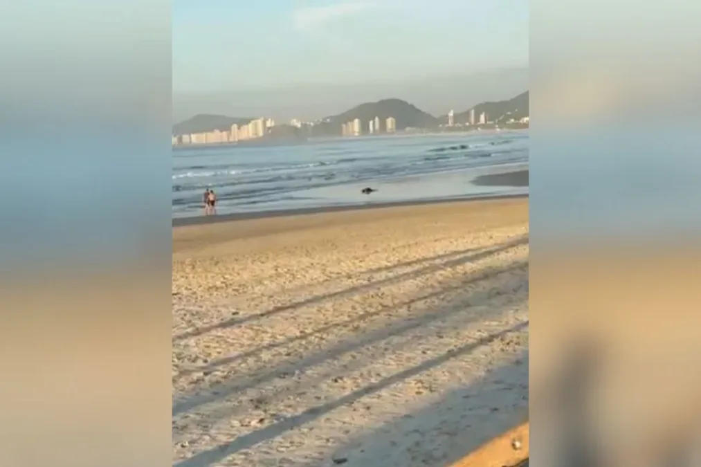 Militar reage a assalto e mata suspeito durante fuga na orla do Guarujá; vídeo mostra perseguição