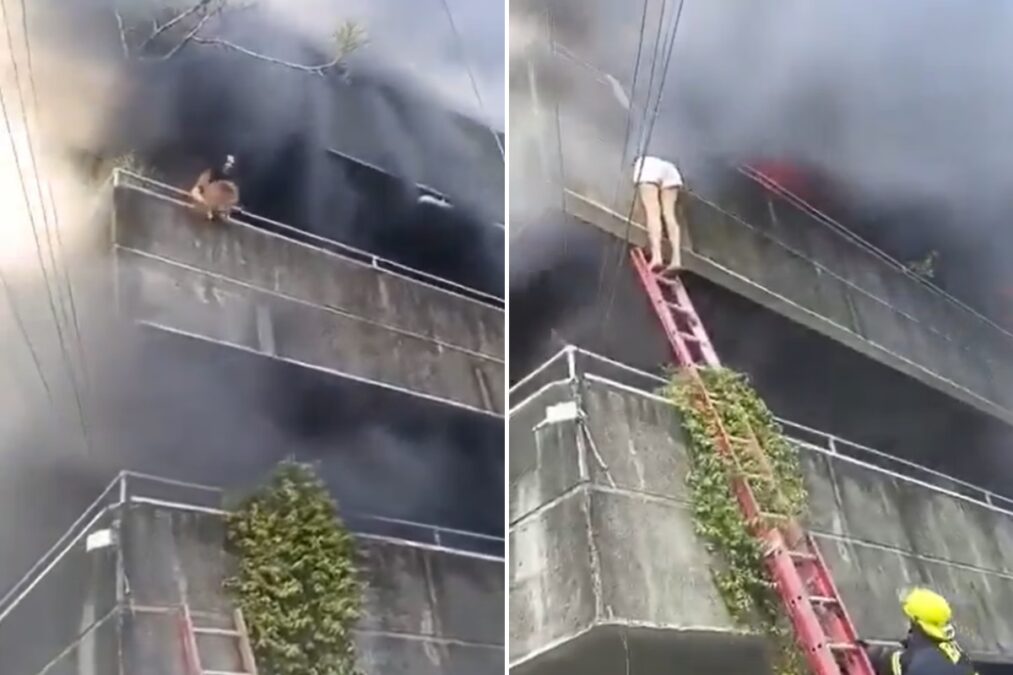 Em ato heroico, mulher joga cães da varanda para salvá-los durante incêndio nas Filipinas