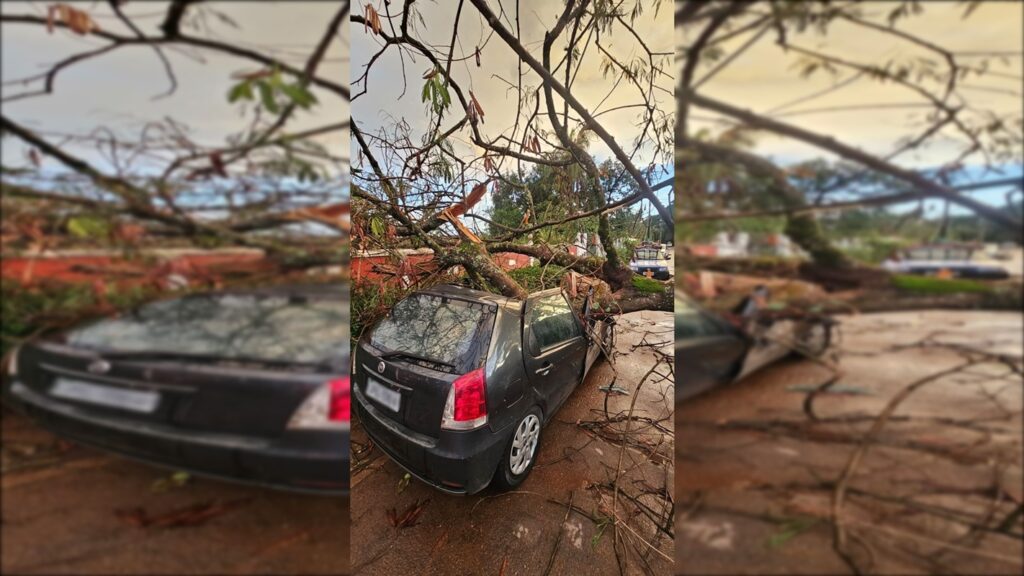 arvore-cai-e-destroi-carro-de-brasiliense-na-chapada-dos-veadeiros