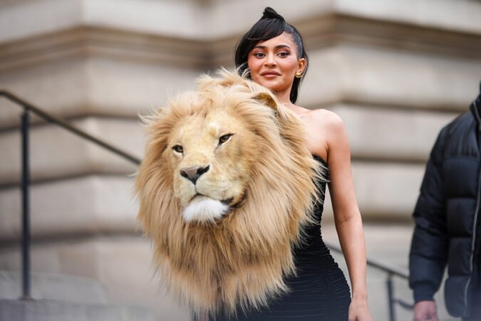 combate-a-crueldade-animal-na-moda-avanca-em-2026;-saiba-o-que-muda