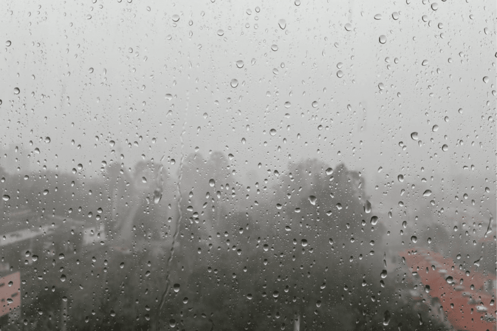 “frio”-em-janeiro?-a-previsao-do-tempo-para-segunda-(5/1)-em-sp