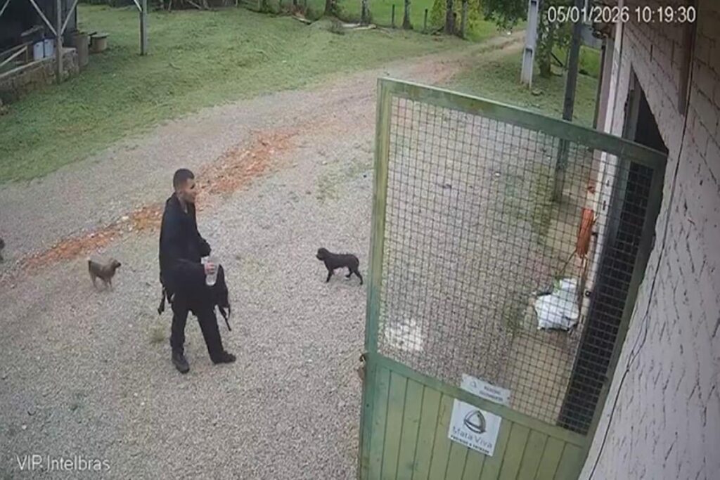 pico-parana:-veja-momento-em-que-jovem-chega-caminhando-a-fazenda.-veja-video