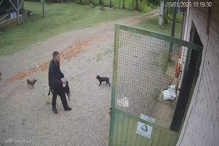 pico-parana:-veja-momento-em-que-jovem-chega-caminhando-a-fazenda.-veja-video