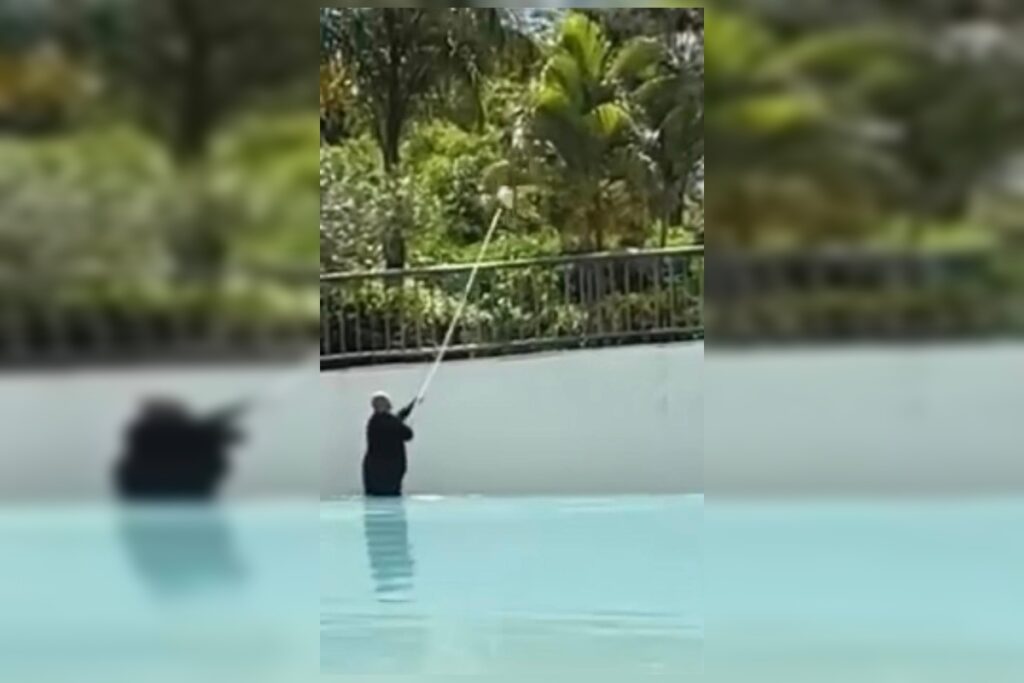 caldas-novas:-fezes-em-piscina-de-ondas-deixa-banhistas-revoltados.-video