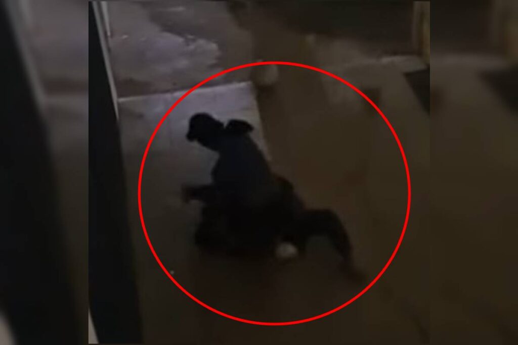 homem-em-situacao-de-rua-espanca-rival-no-“beco-do-crack”-da-asa-norte.-veja-video